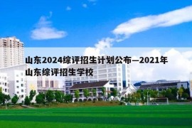 山东2024综评招生计划公布—2021年山东综评招生学校