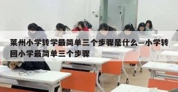 莱州小学转学最简单三个步骤是什么—小学转回小学最简单三个步骤