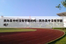 民办高中时没有学籍的吗—民办高中没有学籍吗?
