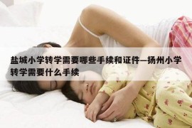 盐城小学转学需要哪些手续和证件—扬州小学转学需要什么手续