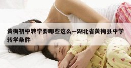 黄梅初中转学要哪些这么—湖北省黄梅县中学转学条件