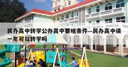 民办高中转学公办高中要啥条件—民办高中读一年可以转学吗