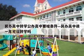 民办高中转学公办高中要啥条件—民办高中读一年可以转学吗