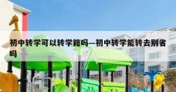 初中转学可以转学籍吗—初中转学能转去别省吗