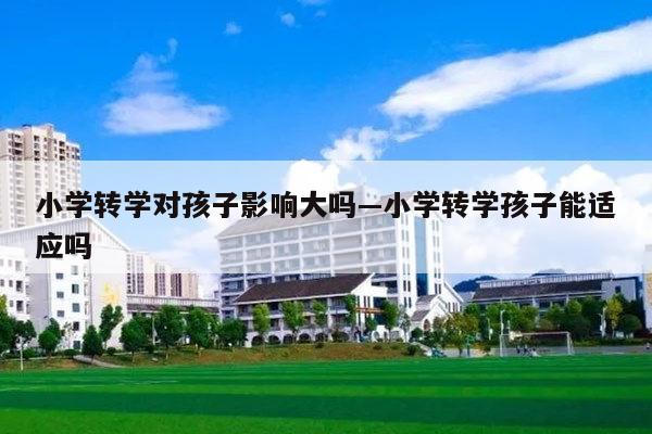小学转学对孩子影响大吗—小学转学孩子能适应吗