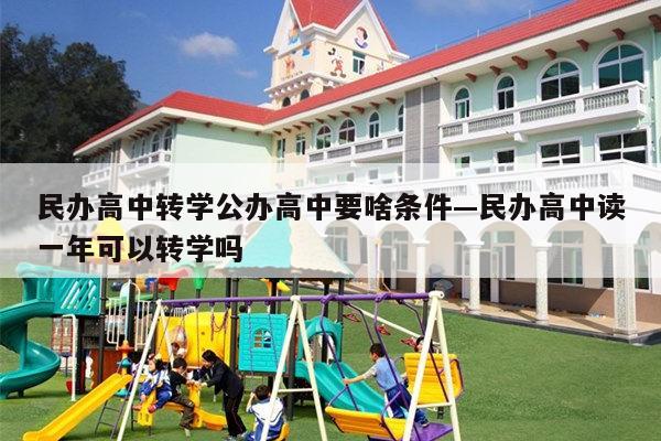 民办高中转学公办高中要啥条件—民办高中读一年可以转学吗