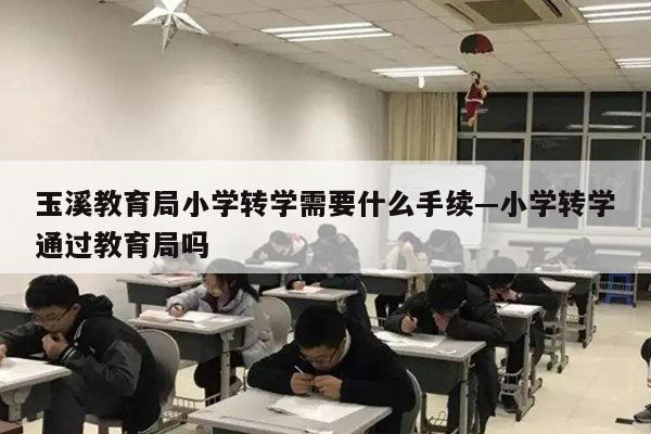 玉溪教育局小学转学需要什么手续—小学转学通过教育局吗
